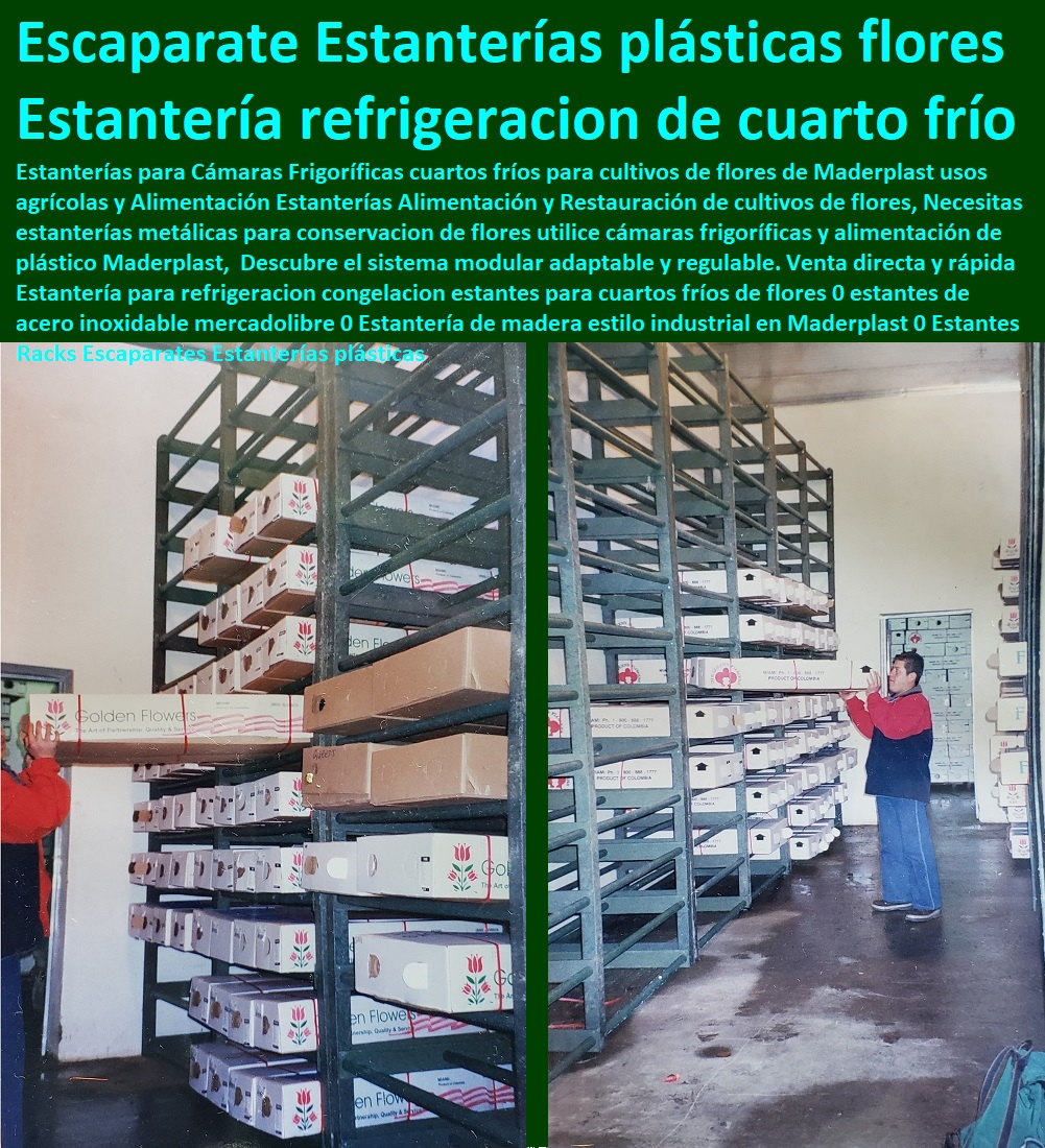 Estantería para refrigeracion congelacion estantes para cuartos fríos de flores 0 estantes de acero inoxidable mercadolibre 0 Estantería de madera estilo industrial en Maderplast 0 Estantes Racks Escaparates CULTIVOS TECNIFICADOS, INVERNADEROS, Semilleros, Bancos De Siembra, Hidroponía, Agricultura, Cosecha, Poscosecha, Tutores Para Flores, Cable Vía Bananas Aromáticas, Estanterías plásticas Estantería para refrigeracion congelacion estantes para cuartos fríos de flores 0 estantes de acero inoxidable mercadolibre 0 Estantería de madera estilo industrial en Maderplast 0 Estantes Racks Escaparates Estanterías plásticas